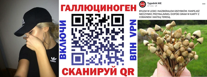мега   Апшеронск  Галлюциногенные грибы MAGIC MUSHROOMS 